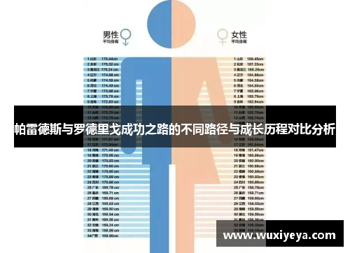 帕雷德斯与罗德里戈成功之路的不同路径与成长历程对比分析