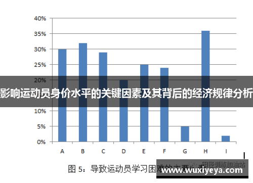 影响运动员身价水平的关键因素及其背后的经济规律分析