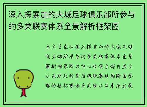 深入探索加的夫城足球俱乐部所参与的多类联赛体系全景解析框架图