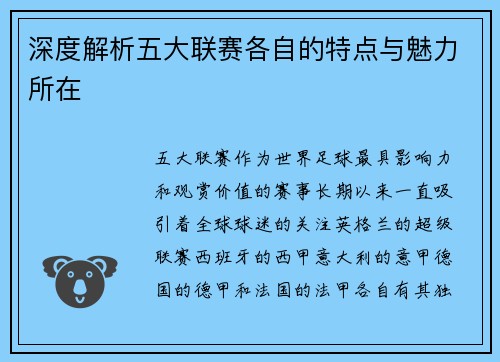 深度解析五大联赛各自的特点与魅力所在