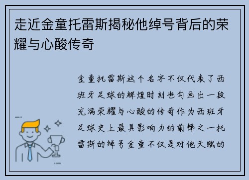 走近金童托雷斯揭秘他绰号背后的荣耀与心酸传奇